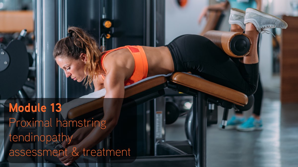 Proximal hamstring tendinopathy assessment and treatment